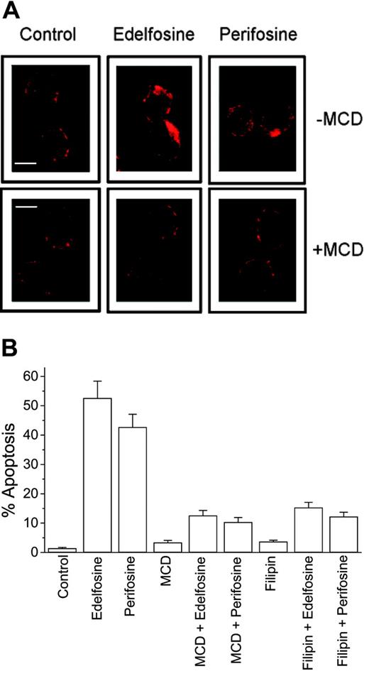 Figure 3. Disruption of membrane rafts inhibits ALP-induced Fas/CD95 clustering and apoptosis. MM144 cells were untreated (control) or pretreated with MCD or filipin and then incubated with 10 μM edelfosine or perifosine for 12 hours and analyzed for Fas clustering by confocal microscopy (A), or for 24 hours, and examined for the percentage of apoptotic cells by flow cytometry (B). Images shown in panel A are representative of 3 independent experiments. Scale bar, 10 μm. Data shown in panel B are means ± SD of 3 independent determinations.