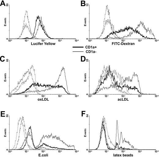 Figure 3. Uptake of soluble material and particles by CD1a− and CD1a+ monocyte-derived dendritic cells. Monocyte-derived moDCs collected at day 5 of culture were incubated in the presence of fluorescein-labeled exogenous compounds and particles at 37°C, and internalization by CD1a− (thin line) and CD1a+ cells (bold line) was measured by flow cytometry. Control samples were treated similarly at +4°C (dashed lines). (A) Pinocytosis of Lucifer yellow and (B) uptake of FITC-labeled soluble dextran were measured after 1-hour incubation at 37°C. (C) The uptake of DiI-labeled oxLDL and (D) acLDL was measured after 4 hours. (E) Internalization of FITC-labeled paraformaldehyde-fixed E coli was measured after 8 hours. (F) Phagocytosis of YG-fluorescent carboxylate-modified latex beads was measured after 8 hours. Histograms (E-F) were normalized to equal numbers of nonphagocytic CD1a+ and CD1a− cells. Typical experiments of 3 are documented.