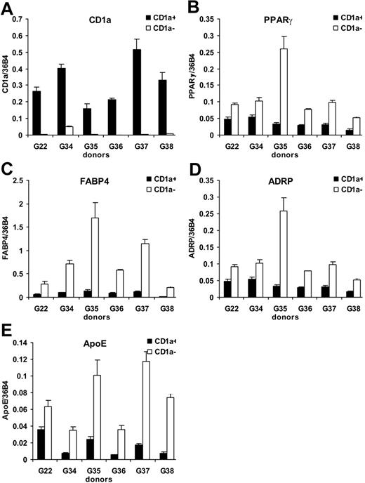 Figure 6. Expression and activation of PPARγ in CD1a− and CD1a+ monocyte-derived dendritic cells. Immature moDCs were sorted to CD1a− and CD1a+ fractions and then RNA was isolated from 2 × 106 cells. Gene expression was measured by real-time QRT-PCR. Results obtained from 6 independent sorted moDC sample pairs are documented. CD1a+ and CD1a− cells are shown as ▪ and □, respectively. (A) Relative expression of CD1a mRNA in sorted CD1a+ and CD1a− moDC fractions. (B) Relative expression of PPARγ in CD1a+ and CD1a− cells. (C-E) Expression of the PPARγ target genes FABP4, ADRP, and APOE in sorted CD1a+ and CD1a− cells. Error bars represent SD of triplicate samples.