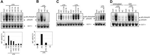 Figure 1. Pretreatment of DCs with ACs inhibits DNA binding activity of NF-κB. NOD BMDCs (A) or sDCs (B) were pretreated with ACs at a ratio of 1:5 (DC/AC) for the indicated times or left untreated and then were stimulated with LPS (50 ng/mL) for 0.5 hours. Nuclear NF-κB DNA binding was measured via EMSA. Composition of NF-κB complexes was previously determined via supershift analysis. A double-stranded OCT-1 DNA probe was used as an internal control. Densitometric analyses represent the ratio of intensity of NF-κB to OCT-1 binding per unit area and are represented as arbitrary units for the respective EMSAs. (C) Nuclear NF-κB binding activity was measured in NOD BMDCs pretreated with ACs, polystyrene latex beads (LB), or necrotic cells (NC) for specified times or left untreated and then were stimulated with LPS for 0.5 hours. (D) NOD BMDCs were preincubated with cyclohexamide (10 μg/mL) (CH) for 15 minutes, treated with ACs for 3 hours, stimulated with LPS (50 ng/mL) for 0.5 hours, and nuclear NF-κB DNA binding activity was determined. For this and all other figures, the control lane AC represents data obtained with DCs plus ACs without stimulation (eg, LPS). Data are representative of 3 independent experiments.