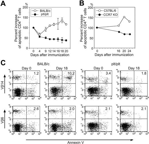 Figure 3. Apoptosis of OVA-reactive CD4+ T cells. (A) Relative increase of annexin V+ PI− apoptotic CD4+ T cells in popliteal LNs of BALB/c (○) or plt/plt (•) mice was kinetically analyzed after immunization. At indicated days after immunization, popliteal LN cells were harvested and stained with anti-CD4 mAb, annexin V, and PI, then analyzed by flow cytometry. Percent increase of apoptotic CD4+ T cells was calculated according to the formula: % increase = (% annexin V+PI− apoptotic cells at indicated day in CD4+ T cells/% annexin V+PI− apoptotic cells at day 0 in CD4+ T cells) × 100. Mean ± SD from 3 to 5 mice is given. A representative result from 2 independent experiments is shown. (B) Relative increase of annexin V+PI− apoptotic CD4+ T cells in popliteal LNs of C57BL/6 (○) or CCR7-deficient (•) mice was kinetically analyzed after immunization. Percent increase was calculated as indicated in panel A. Draining popliteal LN cells were pooled from 2 mice and assessed. (C) Annexin V+ apoptotic cells in Vβ14+CD4+ or Vβ6+CD4+ T cells in BALB/c and plt/plt mouse LN were analyzed. We repeated these experiments at least 2 times and representative results at days 0 and 18 after immunization with OVA in CFA are shown.