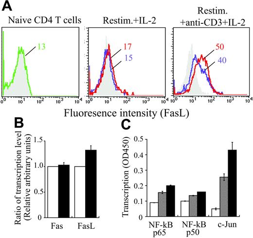 Figure 6. Induction of Fas or FasL expressions on CD4+ T cells. (A) Naive or cultured CD4+ T cells prepared from BALB/c mice were stained with anti-Fas or -FasL mAb (green, blue, or red line) or isotype-matched control antibody (gray). Naive CD4+ T cells were stimulated with anti-CD3 and anti-CD28 mAbs for 4 days in the absence (blue line) or presence of 100 ng/mL CCL19 and CCL21 (red line) in primary culture, and then restimulated with IL-2 alone or anti-CD3 mAb and IL-2 in secondary culture. Two days after, the cells were stained for Fas and FasL. Mean fluorescence intensity (MFI) is indicated in each panel. Similar results were obtained in another independent experiment. (B-C) Naive CD4+ T cells were stimulated with anti-CD3 and anti-CD28 mAbs with or without CCL19 and CCL21 (100 ng/mL each) for 4 days, washed, and restimulated with anti-CD3 mAb and IL-2 for 6 hours. Then, CD4+ T cells were negatively purified using the mouse CD4+ T-cell isolation kit (Miltenyi Biotec, Auburn, CA; purity: 90%-95%). (B) Total cellular RNA was prepared from the T cells treated in the absence (▪) or presence (□) of CCL19 and CCL21 as described in “Materials and methods,” under “Real-time reverse transcription–PCR analysis.” Quantitative real-time PCR was carried out, and the results were expressed as 2−ΔΔCt, which corresponded to the fold change between the T cells treated in the absence of CCL19 and CCL21 and those in the presence of these chemokines. (C) For determining the translocation of transcription factors indicated, nuclear extracts were prepared from CD4+ T cells untreated (□), treated in the absence of (⊡), or presence (▪) of CCL19 and CCL21 in the primary culture, and were assayed for the contents of these factors using BD TransFactor kits (BD Bioscience/Clontech). Results were expressed as OD values at 450 nm ± SD of triplicate tests.