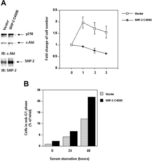 Figure 8. Inhibition of SHP-2 catalytic activity does not destabilize p210 but attenuates cell survival and enhances serum starvation-induced apoptosis. Ba/F3 cells overexpressing catalytically inactive SHP-2 C459S and the vector control cells were transduced with Bcr-Abl as described in “Materials and methods.” (A) Whole-cell lysates prepared from the cell lines were examined for p210 and SHP-2 with IB using anti–c-Abl or anti–SHP-2 Abs. Exponentially growing cells were seeded into serum-free RPMI-1640 medium. Cell-survival rates at the indicated time points were determined by the MTS assay as described in Figure 1A. (B) Exponentially growing cells were starved of serum for 24 and 48 hours. Cells were harvested and processed for cell-cycle analyses. Percentages of apoptotic cells with sub-G1 DNA content were determined. Results shown are representative of 3 experiments.