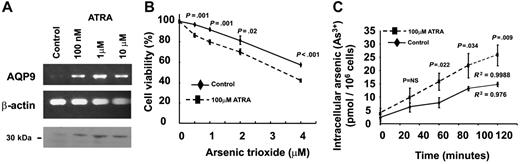 Figure 6. Induction of AQP9 expression with ATRA treatment of HL-60 cells. (A) Semiquantitative polymerase chain reaction showed that the expression of AQP9 gene in HL-60 was significantly induced after 48-hour incubation of 100 nM, 1 μM, and 10μM ATRA. β-actin gene was used as internal control of the RT-PCR. Western-blot analysis also showed increasing AQP9 protein expression (about 30 kDa) with increasing concentrations of ATRA. The loading amount of protein samples was standardized by PointSau staining. (B) In MTT assay, HL-60 cells pretreated with 100 μM ATRA for 48 hours exhibited an increased sensitivity to the cytotoxicity of As2O3 compared with the untreated control. (C) In arsenic-uptake assay, HL-60 cells pretreated with 100 μM ATRA for 48 hours were incubated with 1 μM As2O3. There was a time-dependent increase in arsenic uptake compared with the untreated control (Student t test for each of the points analyzed).