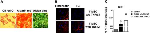 Figure 3. Tonsils contain pluripotent MSCs. (A) Differentiation of T-MSCs. After a 14- to 28-day culture in appropriate differentiation media, T-MSCs were stained with Oil-red O (left), Alizarin red (middle), and Alcian blue (right) to reveal the presence of adipocyte-specific lipid vacuoles, osteoblast-specific calcium deposits, and chondrocyte-specific proteoglycans, respectively. Cells were examined using an Olympus IX71 inverted microscope (Olympus, Tokyo, Japan) equipped with a 40 ×/0.60 NA objective, and digital images were acquired using an Olympus Camedia C-5060 camera. (B) Induction of an extracellular meshwork. T-MSCs were stained for fibronectin and transglutaminase (TG) after 7 days of culture with or without stimulation with TNF/LT. Bar represents 20 μm. (C) Growth of BL2 cell line. BL2 was cultured for 3 days in low serum concentration alone, or with confluent clonal T-MSC, pretreated or not with TNF/LT for 7 days. Proliferation was assessed by tritiated thymidine (3H-TdR) incorporation determined in sixplicate culture wells. Stromal cells cultured alone always showed tritiated thymidine incorporation less than 500 cpm. Data are expressed as percentages of thymidine incorporation by BL2 cells cultured in the presence of clonal T-MSCs (pretreated or not with TNF/LT) with respect to BL2 cells alone (assigned to 100%). Bars represent mean values ± SD from 6 independent experiments. *Mean value is statistically significantly different from that obtained without stromal cells (P<.05). **Mean value is statistically significantly different from that obtained with untreated T-MSC (P<.05).