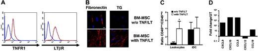 Figure 4. BM-MSCs acquire complete functional characteristics of FRCs under TNF/LT stimulation. (A) Membrane expression of TNFR1 and LTβR on BM-MSCs. Blue lines indicate immunoglobulin control, red lines indicate specific staining. (B) Meshwork induction. BM-MSCs were cultured with or without TNF/LT stimulation for 7 days. Microscopic visualization of a meshwork of extracellular matrix fibers was performed with fibronectin and transglutaminase (TG) staining. Bar represents 20 μm. (C) Adhesion assay. Tonsil leukocytes or monocyte-derived iDCs were incubated for 2 hours with BM-MSCs pretreated or not with TNF/LT for 7 days. Unbound cells were then removed and adherent CD45+ cells and stromal CD45− cells were collected using trypsin and quantified by flow cytometry. Results are the mean values of the ratio of CD45+ to CD45− cells (n = 4). The error bars indicate the SD of the mean. *Mean value is statistically different from that of coculture with unstimulated BM-MSCs (P<.05). (D) Real-time PCR quantification of chemokine expression. BM-MSCs were cultured for 3 days with TNF/LT and were then analyzed for CXCL9, CXCL10, CCL5, CXCL12, and CCL19 expression. Each sample was normalized to ABL and compared to expression levels in untreated (UT) BM-MSCs. The arbitrary value of 1 was assigned to UT BM-MSCs. CCL19 was not detected in UT Resto cells and the ΔΔCT was then calculated with an arbitrary CT value of 40. Results are those of one experiment of 3.