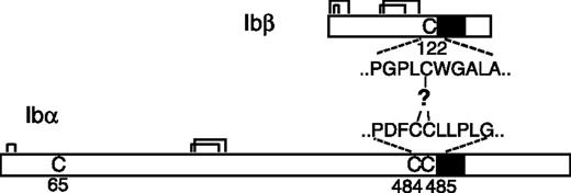 Figure 1. Cysteine residues in GP Ibα and GP Ibβ. The disulfide bonds in each subunit are marked by connected lines. The transmembrane domains are marked by filled boxes. C65 in GP Ibα is buried in the N-terminal domain and is unpaired.17,18 GP Ibα has 2 membrane-proximal Cys residues (C484 and C485), whereas GP Ibβ has one (C122). C122 forms a disulfide bond with a Cys residue in GP Ibα, the identity of which remains unclear.
