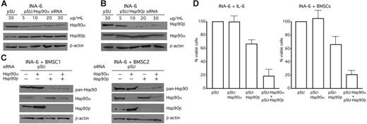 Figure 3. Combined knockdown of Hsp90α and Hsp90β is required to induce apoptosis in INA-6 cells. (A-C) Western blot analysis of Hsp90α, Hsp90β, or pan-Hsp90 protein expression in INA-6 cells that were transiently transfected either with siRNAs against Hsp90α, Hsp90β, or both and cultured in the presence of BMSCs. Staining of β-actin served as a loading control. (D) Viability of the transfected INA-6 cells measured by annexin V–FITC/PI staining. INA-6 cells were transiently transfected either with siRNAs against Hsp90α, Hsp90β, or both and cultured either in the absence or presence of BMSCs for 96 hours. Error bars denote the range of values derived from at least 3 independent experiments.