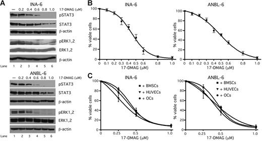 Figure 4. Inhibition of Hsp90 activity in INA-6 and ANBL-6 cells by 17-DMAG attenuates levels of phosphorylated and total STAT3 and phosphorylated ERK1,2 and induces apoptosis also in the presence of cells from the BMM. (A) Western blot analysis of phosphorylated (Y705) and total STAT3 and of phosphorylated and total ERK1,2 in INA-6 or ANBL-6 cells that were treated with different concentrations of 17-DMAG for 20 hours. Staining of β-actin served as a loading control. (B-C) Viability analysis of 17-DMAG–treated INA-6 or ANBL-6 cells. INA-6 or ANBL-6 cells were kept either in medium with 2 ng/mL IL-6 (B) or cultured in the presence of BMSCs, OCs or HUVECs (C) and treated with different concentrations of 17-DMAG for 3 days. The viable fractions of the treated cells were determined by annexin V–FITC/PI staining.