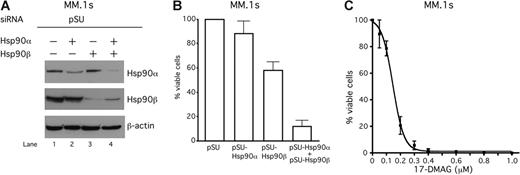 Figure 5. The siRNA-mediated knockdown of Hsp90 or treatment with 17-DMAG induces apoptosis also in IL-6–independent MM.1s cells. (A) Western blot analysis of Hsp90α and Hsp90β protein expression in MM.1s cells that were transiently transfected either with siRNAs against Hsp90α, Hsp90β, or both. Staining of β-actin served as a loading control. (B-C) Viability of MM.1s cells was assayed with annexin V–FITC/PI staining either 96 hours after siRNA-mediated knockdown of Hsp90 (B) or 72 hours after treatment with different concentrations of 17-DMAG. Error bars denote the range of values derived from at least 3 independent experiments.