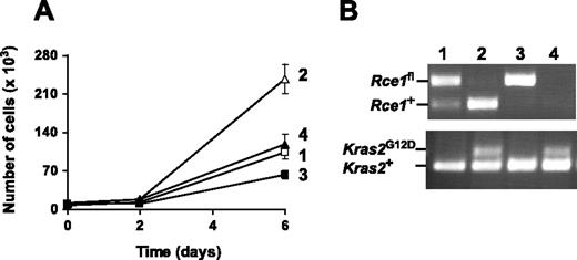 Figure 5. Inactivation of Rce1 inhibits the growth of K-RASG12D–expressing fibroblasts. (A) Cell proliferation assay of spontaneously immortalized Rce1fl/flKLSL and Rce1fl/+KLSL embryonic fibroblasts treated with Cre and β-gal-adenoviruses. Data are mean of 2 independent cell lines per genotype. The experiment was repeated with a pair of primary cell lines and yielded similar results. (B) PCR amplification of genomic DNA from the cells in panel A demonstrating the activation of the Kras2G12D allele and the inactivation of the Rce1fl allele. Lane 1, β-gal-adenovirus-treated Rce1fl/+KLSL cells; lane 2, Cre-adenovirus-treated Rce1fl/+KLSL cells; lane 3, β-gal-adenovirus–treated Rce1fl/flKLSL cells; lane 4, Cre-adenovirus-treated Rce1fl/flKLSL cells.