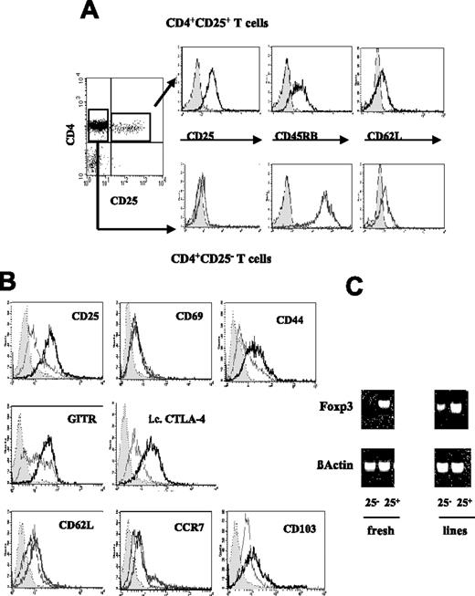 Figure 1. Phenotype of in vitro–expanded CD4+CD25+ and CD4+CD25− T-cell lines. CD4+ T cells were isolated from spleens and pooled LNs of nonmanipulated CBA mice and separated in CD25+ and CD25− subsets. (A) Representative flow cytometry histograms showing the level of surface expression of CD25, CD45RB, and CD62L on the selected cells used to generate the T-cell lines. (B) Surface expression of CD25, CD69, CD44, GITR, CD62L, CCR7, CD103, and intracellular expression of CTLA-4 was compared on the in vitro–expanded CD25− (gray line) and CD25+ line (black line) with the respective isotype controls (gray area). (C) Foxp3 mRNA was detected by RT-PCR in freshly isolated CD4+CD25− and CD4+CD25+ T cells and in the expanded CD25− and CD25+ line. The amount of β-actin mRNA was used as control. The phenotypic characterization of the T-cell lines was carried out more than 6 days after restimulation (ie, in the resting phase). Results are representative of 4 independent experiments.