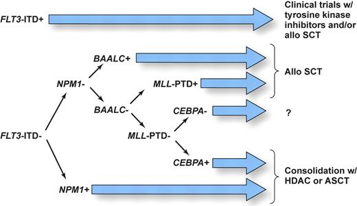 Figure 2. Proposed schema assigning AML patients with a normal karyotype to risk-adapted postremission therapies using information on currently known prognostic markers as a basis for designing future clinical studies. SCT denotes stem-cell transplantation; ASCT, autologous SCT; and HDAC, high-dose cytarabine. Illustration drawn by Kenneth X. Probst.