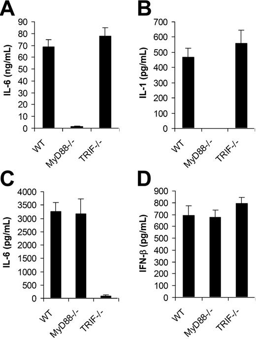 Figure 2. MyD88 is required for the induction of proinflammatory cytokines by VV, whereas secretion of IFN-β is independent of MyD88 or TRIF. DCs were generated from bone marrow cells of wild-type C57BL/6 (WT), MyD88−/− or TRIF−/− mice in the presence of GM-CSF and IL-4 for 5 days. On day 5, immature DCs were stimulated with VV at an MOI of 1 for 18 hours. Supernatants were then analyzed by ELISA for secretion of IL-6 (A), IL-1 (B), and IFN-β (D). DCs were also stimulated with poly (I:C) for 18 hours and assayed for secretion of IL-6 (C). Results are expressed as mean ± SD.