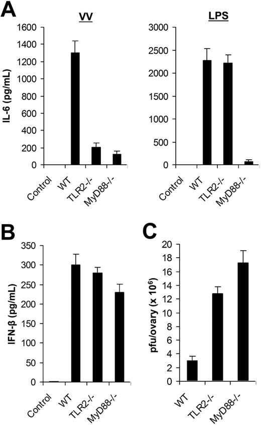 Figure 4. The TLR2/MyD88-dependent pathway is required for innate immune control of VV infection in vivo. (A) Production of IL-6. Wild-type C57BL/6 (WT), TLR2−/−, or MyD88−/− mice were administered intravenously with 1 × 107 pfu VV or 30 μg LPS, and serum samples were harvested 6 hours later for secretion of IL-6 by ELISA. Serum from uninfected C57BL/6 mice was used as control (control). (B) Secretion of IFN-β. WT, TLR2−/−, or MyD88−/− mice were injected intravenously with VV and serum samples were assayed for secretion of IFN-β. Uninfected C57BL/6 mice were used as control (control). (C) Viral titer. 1 × 107 pfu VV was injected intraperitoneally into female WT, TLR2−/−, or MyD88−/− mice and ovaries were harvested for measurement of viral load by plaque-forming assay 3 days later. Data represent viral titer as plaque-forming unit (pfu) per ovary. Error bars indicate SD.