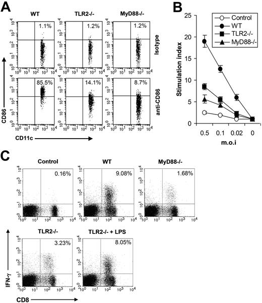 Figure 5. The TLR2/MyD88 signaling pathway promotes adaptive immune response to VV in vivo (A) Maturation of splenic CD11c+ DCs. Wild-type C57BL/6 (WT), TLR2−/−, or MyD88−/− were administered intravenously with 1 × 107 pfu VV and splenocytes were harvested 24 hours later, stained with anti-CD11c and anti-CD86 or an isotype control antibody (isotype), and analyzed for CD86 expression by FACS based on isotype control antibody staining on respective CD11c+ cells. The percentages of CD11c+ DCs expressing CD86 are indicated. (B) VV-specific T-cell activation. Seven days after infection, CD5+ T cells purified from splenocytes were restimulated with VV at an MOI of 0.5, 0.1, or 0.02 in the presence of corresponding naive irradiated splenocytes. Proliferation of virus-specific T cells was analyzed by 3H-thymidine incorporation. Data reflect the mean plus or minus SD of the stimulation index, calculated by dividing 3H counts in cpm in the presence of viral stimulation by those in the absence of stimulation, as a function of different virus doses. T cells harvested from uninfected C57BL/6 mice were used as control (control). (C) Activation of VV-specific effector CD8 T cells. Seven days after VV infection, splenocytes were stimulated with anti-CD3 and anti-CD28 for 4 hours and assayed for intracellular IFN-γ secretion by CD8 T cells. Splenocytes from uninfected C57BL/6 mice were used as control (control). In some TLR2−/− mice, 30 μg LPS was co-injected at time of VV infection (TLR2−/− plus LPS). Events were gated on total lymphocytes. The percentages of IFN-γ–producing CD8 T cells among total lymphocytes are indicated.
