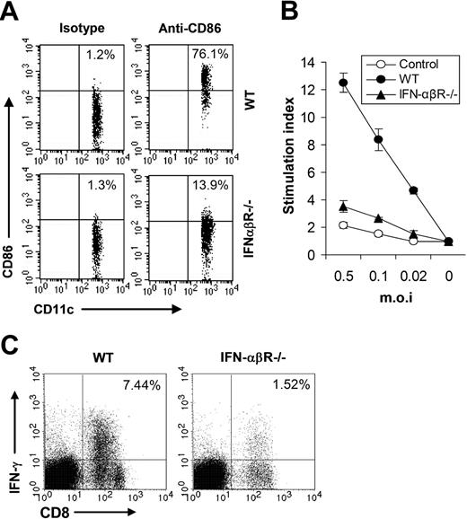 Figure 7. IFN-β is required for efficient adaptive immunity against VV in vivo. (A) Maturation of splenic CD11c+ DCs. Wild-type 129/Sv (WT) or IFN-αβR−/− mice were administered 1 × 107 pfu VV intravenously, and splenocytes were harvested 24 hours later, stained with anti-CD11c and anti-CD86 or an isotype control antibody (isotype), and analyzed for CD86 expression by FACS based on isotype control antibody staining on respective CD11c+ cells. The percentages of CD11c+ DCs expressing CD86 are indicated. (B) VV-specific T-cell activation. Seven days after VV infection, CD5+ T cells purified from splenocytes were restimulated with VV at an MOI of 0.5, 0.1, or 0.02 in the presence of corresponding naive irradiated splenocytes. Proliferation of virus-specific T cells was analyzed by 3H-thymidine incorporation. Data reflect the mean plus or minus SD of the stimulation index, calculated by dividing 3H counts in cpm in the presence of viral stimulation by those in the absence of stimulation, as a function of different virus doses. T cells from uninfected 129/Sv mice were used as control (control). (C) Activation of VV-specific effector CD8 T cells. Seven days after infection, splenocytes were stimulated with anti-CD3 and anti-CD28 for 4 hours and assayed for intracellular IFN-γ secretion by CD8 T cells. Events were gated on total lymphocytes. The percentages of IFN-γ–producing CD8 T cells among total lymphocytes are indicated.
