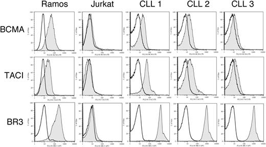 Figure 1. Expression of BCMA, TACI, and BR3 on CLL B cells. B cells from CLL patients were examined by flow cytometry for surface expression of BCMA, TACI, and BR3 after labeling with specific primary and secondary antibodies (gray histogram) or isotype controls (open histograms). Representative histograms of 3 CLL patients are shown.