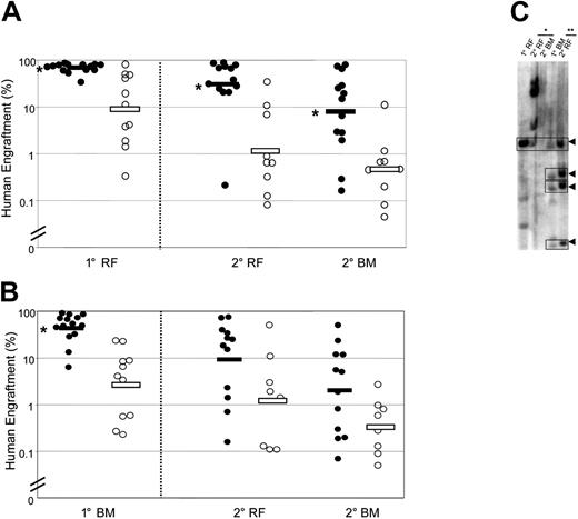 Figure 2. Serial transplantation demonstrates superior self-renewal of Lin−CD34+CD38−Rholo SRCs compared with Lin−CD34+CD38−Rhohi SRCs. Sorted cell populations were injected intrafemorally into preconditioned primary (1°) mice. After 7 to 10 weeks, the ability of SRCs to repopulate secondary (2°) mice was assessed separately for cells from the primary injected RF (A) and remaining BM (B). Secondary recipients were killed 7 to 10 weeks after transplantation, and human cell engraftment was assessed in the injected RF and remaining BM. Primary mice were injected with Lin−CD34+CD38−Rholo cells (•) or Lin−CD34+CD38−Rhohi cells (○). Bars indicate geometric means. (*) P < .05 versus Lin−CD34+CD38−Rhohi cells. (C) Southern blot analysis of repopulating clones in representative primary mice that received a transplant of Lin−CD34+CD38−Rholo cells and corresponding secondary recipients. Lanes were loaded with DNA obtained from RF or BM of a primary recipient and from the corresponding tissues of 2 secondary recipients injected with cells from the primary RF (*) or remaining BM (**). Self-renewing clones are indicated by arrowheads.