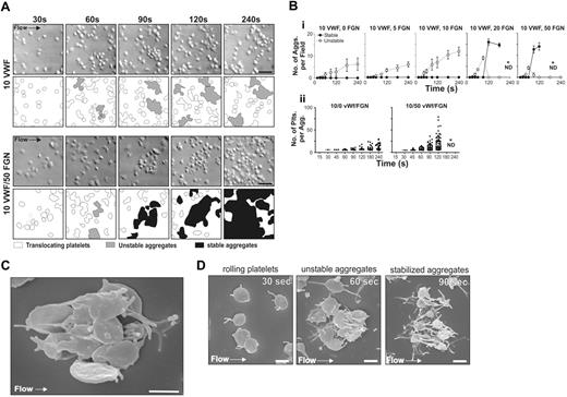 Figure 3. Reversible aggregation of discoid platelets in vitro is promoted by increasing matrix reactivity. Washed platelets (150 × 106/mL) reconstituted with RBCs were perfused through microcapillary tubes coated with VWF (10 μg/mL) and varying concentrations of fibrinogen (5, 10, 20, or 50 μg/mL) at 1800 s−1. (A) DIC images were taken at the indicated time points on a VWF (10 μg/mL) or VWF/fibrinogen matrix (10 μg/mL / 50 μg/mL, respectively). Schematic diagrams highlight nonaggregated platelets (white), reversible aggregates (gray), and stable aggregates (black). Scale bar = 10 μm. On VWF, aggregates remained reversible, while on VWF/fibrinogen reversible aggregates (60 seconds) eventually became stable (90 to 240 seconds). (B) Aggregate formation was quantified by determining the number (i) and size (ii) of aggregates within a visual field. (i) Graph showing the number of unstable (○, broken line) and stable (•, solid line) aggregates. Each point represents the mean ± SEM from at least 4 independent experiments. (ii) Each dot represents the number of platelets within an aggregate, showing data combined from 4 independent experiments (bar represents the median). *ND, quantitation was not performed because multiple small aggregates merged together into larger single aggregates. Scale bar = 10 μm. (C) SEM image demonstrating a typical reversible discoid platelet aggregate forming on a mixed VWF/fibrinogen matrix. Note that all platelets cluster around a central activated platelet through the development of thin membrane tethers. Platelets were fixed at 60 seconds. Scale bar = 2 μm. (D) SEM images demonstrating the sequential platelet morphologic changes associated with shear-dependent platelet aggregation. Platelets were perfused through VWF/fibrinogen-coated microcapillary tubes (10 μg/mL / 50 μg/mL, respectively) at 1800 s−1. These representative images demonstrate discoid platelets forming membrane tethers during surface translocation on the mixed matrix (30 seconds), a typical unstable aggregate composed of several discoid platelets clustered around a central partially spread platelet (60 seconds) and platelets that have undergone classical shape change (sphering and extension of multiple filopodia extensions) during stable aggregate formation (90 seconds). Scale bar = 2 μm.