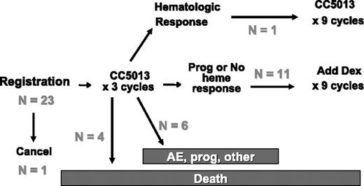 Figure 1. Schema with outcomes. Prog indicates disease progression; CC5013, lenalidomide.