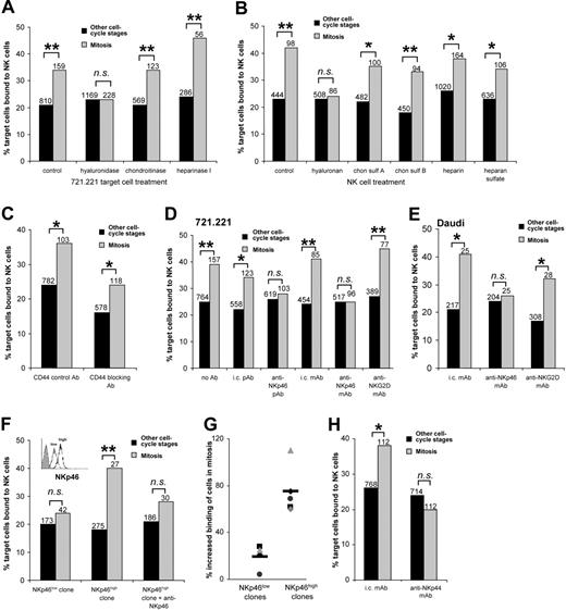 Figure 2. Evidence for molecular recognition of cells in mitosis by human NK cells. (A-H) The percent of 721.221 or Daudi cells in mitosis or other cell-cycle stages bound by NK cells after 10 minutes of coincubation, determined by confocal microscopy of cells stained for α-tubulin. (A) Target cells (721.221) were pretreated with different glycosaminoglycan-degrading enzymes: S hyalurolyticus hyaluronidase, which catalyzes degradation of hyaluronan; chondroitinase ABC, which degrades chondroitin sulfate; or heparinase I, which degrades heparin and to a lesser extent heparan sulfate. (B) NK cells were incubated with the different glycosaminoglycans indicated to test their ability to block specific recognition of target cells in mitosis. (C) NK cells were preincubated with an anti-CD44 mAb, which blocks the interaction between CD44 and hyaluronan or with a control isotype-matched anti-CD44 antibody that does not block this interaction. (D-E) NK cells were preincubated with monoclonal or polyclonal antibodies recognizing NKp46 or NKG2D, or isotype-matched control antibodies (i.c.), prior to coincubation with (D) 721.221 or (E) Daudi target cells. (F) NK-cell clones characterized by flow cytometry as having low (NKp46low; inset, dotted line) or high (NKp46high; inset, solid line) surface expression of NKp46 (inset: shaded histogram represents isotype-matched control staining) were compared for their capacity to bind 721.221 cells in mitosis or 721.221 in other stages of the cell cycle. (G) The binding of several NKp46high and NKp46low NK-cell clones to 721.221 cells is shown as the percentage increase in binding to cells in mitosis compared to cells in other stages of the cell cycle. (H) NK cells were preincubated with anti-NKp44 or control mAb. Data from at least 3 independent experiments are shown, and the total numbers of cells are indicated. *P <.05, **P <.005; ns indicates not significant.