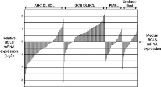 Figure 1. BCL-6 mRNA expression among previously defined DLBCL groups.