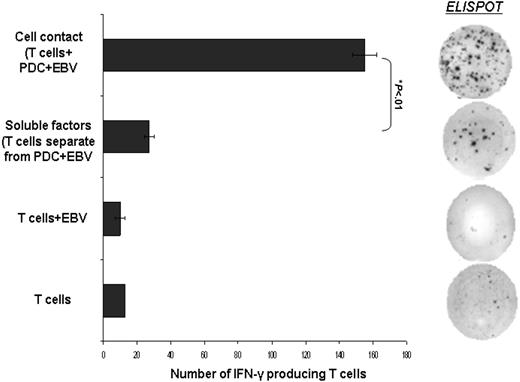Figure 6. Cell-to-cell contact dependence required for PDC activation of IFN-γ–producing CD3+ T cells. Immunomagnetic bead-isolated PDCs were separated from CD3+ T cells using a Transwell filter with membrane pore size of 0.4 μm. Cell contact between PDCs and CD3+ T cells in the presence of EBV generated significantly greater number of IFN-γ–producing CD3+ T cells compared to the soluble factors secreted by PDCs in response to EBV (155.0 ± 7.1 compared to 27.0 ± 2.8 spots/3 × 105 T cells, Student t test P < .01). Results are expressed as mean ± SEM.