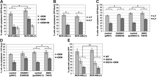 Figure 4. The fraction of cells with cytoplasmic retention of Bach2 varies in response to PI-3K/S6K signaling and oxidative stress. 3T3 cells were transiently transfected with pEGFPBach2 plasmids, and the subcellular localization of GFP-Bach2 was observed through a fluorescence microscope. (A) Percentage of BCR-ABL–positive (+) or –negative (−) 3T3 cells with cytoplasmic GFP-Bach2 when exposed to 0.5 μM imatinib (+IM) for 24 hours, as indicated, and to 300 μM DEM (+DEM) or not (-DEM) for the last 3 hours before fixation. (B) Percentage of BCR-ABL–positive (+) or –negative (−) 3T3 cells with cytoplasmic GFP-Bach2 exposed to 25 μM LY294002 (+LY) or DMSO (-LY) for 2 hours. (C-D) Percentage of 3T3 cells expressing HAS6K1E389D3E, S6K2T401D, or vehicle (pRK7 or pcDNA3.1) with cytoplasmic GFP-Bach2 when treated with 5 μM LY294002 (+LY) or DMSO (-LY) for 2 hours (C) or treated (+DEM) or not (-DEM) with 300 μM DEM for 3 hours (D). (E) Percentage of cells stably expressing Bcr-Abl (+) or vehicle (-) with cytoplasmic GFP-Bach2 (WT) or GFP-Bach2S521A (S521A) treated or not with 300 μM DEM (+DEM) for 3 hours before fixation. At least 100 cells expressing GFP-Bach2 were counted in each experiment. Results are average ± standard deviation of 3 independent experiments. Comparison between the indicated groups shows a significant difference (*) or no significant difference (NS) by the Mann-Whitney U test (P < .05).
