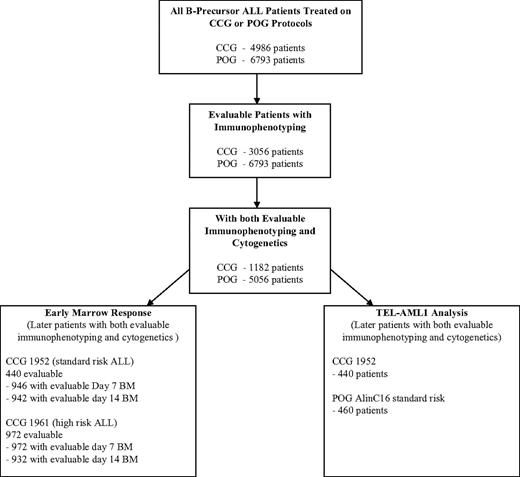 Figure 1. ALL risk assignment algorithm. Algorithm is for analysis of POG and CCG data. The figure shows the number of evaluable patients in each of the analyses performed. Because the POG had a central immunophenotyping and molecular laboratory system and the CCG relied on peripheral laboratory results, the attrition of evaluable patients in the POG analysis was much lower.