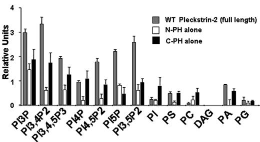 Figure 1. Pleckstrin-2 shows affinity for phosphoinositides with D3 phosphates. GST fusion proteins were made in the pEGX-2TK vector, which allowed the direct (γ-32P) ATP labeling by PKA of the fusion proteins in vitro. Results were viewed by standard autoradiograph techniques and quantified via the Image Quant Program. Relative affinity was calculated by quantitating bound 32P divided by specific activity of the radioactive probe. Shown is the mean ± SEM from 3 independent experiments.