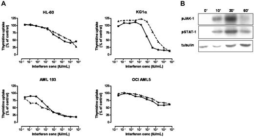 Figure 1. Effects of recombinant hIFN-α/β on AML proliferation and cell signaling. (A) 3H-thymidine uptake assay showing a linear reduction in proliferation with an increasing dose of hIFN-α (dashed line) or hIFN-β (solid line) following stimulation of AML cell lines in vitro for 3 days. (B) Western blot of HL-60 cells showing phosphorylation of JAK-1 and STAT-1 in response to hIFN-β stimulation at time points of 0, 10, 30, and 60 minutes.