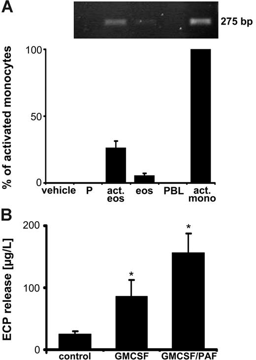 Figure 3. Strong eosinophil activation enhances TF mRNA. (A) Full-length TF mRNA levels are increased in response to eosinophil stimulation. Sequential activation of isolated eosinophils (act eos; 5 × 105) with GM-CSF (50 ng/mL; 20 minutes), followed by PAF (10 μM; 25 minutes), increases the mRNA expression for TF (top panel, conventional RT-PCR; bottom panel, real-time PCR). Comparisons with the mRNA levels in LPS-stimulated monocytes (act mono), resting eosinophils (eos), platelets (P), and PBLs. The expression levels were calculated as the ratio of TF mRNA to aldolase mRNA. Means ± SEM, n = 3. (B) GM-CSF/PAF causes ECP release. Degranulation of specific granules by GM-CSF (50 ng/mL; 20 minutes), and by GM-CSF plus PAF (10 μM; 25 minutes), as verified by ECP secretion. Means ± SEM, n = 4. *P < .05 (versus control).