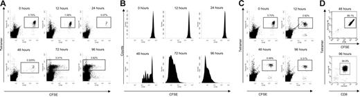 Figure 1. Isolation of NP366-374 specific CD8+ T cells following stimulation with recombinant vaccinia virus. CFSE-labeled splenocytes (107) were transferred from F5 Rag−/− to C57BL/6 mice and the recipients infected 24 hours later with 107 PFU recombinant vaccinia virus expressing NP366-374 by intraperitoneal injection. (A) Epitope-specific cells were tracked using CFSE and tetramer-PE. The size of the transferred epitope-specific population is shown as percentage of lymphocytes. (B) CFSE profiles of the transferred CTL population are shown at each time point. (C) Epitope-specific cells were analyzed following infection with recombinant vaccinia expressing the OVA peptide (0-, 24-, 48-, and 96-hour time points are shown). Identical results were seen with sham infection using PBS alone. (D) FACS gave up to approximately 99% purity. All plots show data representative of at least 6 individuals in the “lymphocyte” gate.