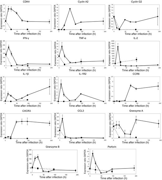 Figure 5. PCR data. Quantitative PCR data correlate closely with microarray expression profiles emphasizing large scale changes in expression prior to the peak proliferative response at 96 hours after stimulation, whereas unstimulated controls do not show this pattern. F5 Rag−/− splenocytes were transferred by intravenous injection into C57BL/6 mice that were infected 24 hours later with recombinant vaccinia virus expressing NP366-374. Spleens were collected from these mice at time points up to 192 hours after infection and epitope-specific cells sorted by flow cytometry. Quantitative PCR of 14 selected genes was performed using the Roche Lightcycler system. Gene expression ratios were calculated using G6PDX as an housekeeping gene. Dotted lines represent quantitative PCR of the same genes in unstimulated controls. In the cases of CDK4, cyclin A2, cyclin G2, IL-1β IL-1R2, CXCR3, and CXCR6, gene expression ratios were very low at time point 0 and were not detectable in unstimulated control mice at any further time points. Graphs represent data from 3 mice per time point, with error bars showing the standard error.
