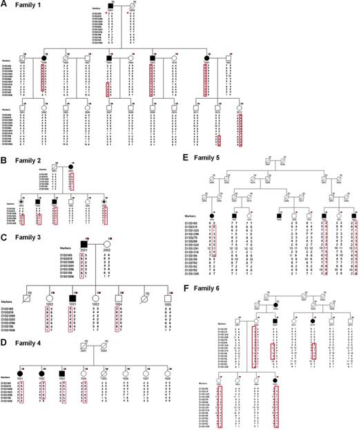 Figure 2. Pedigrees and haplotype analysis of 6 families in the study. A black square indicates individual affected with CLL; a black circle, individual with MBL (monoclonal B-cell lymphocytosis); a white-and-red box, individual with DNA available for analysis; *, reconstructed haplotype; and F, failed genotype.