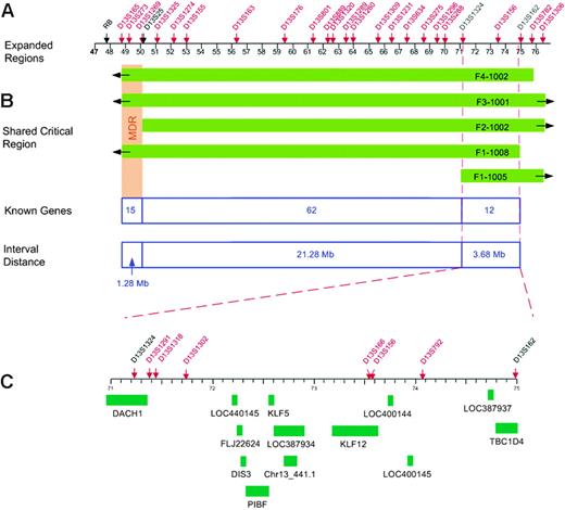 Figure 4. Physical map of the CLL candidate region. (A) Locations of polymorphic markers, shown in red. A physical map of the region was constructed using information derived from public and private databases (UCSC Genome Bioinformatics32; NCBI; Ensembl Genome Browser33; and Celera). (B) Regions shared by the families (shown in green) with critical recombinants identifying the new minimal 3.68-Mb candidate region. (C) Location of the 13 genes within the new CLL candidate region.