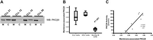 Figure 3. PKCβII is active in CLL cells. Subcellular fractions from CLL, HCL, and CD19-purified normal B cells were isolated using ultracentrifugation. (A) Western blot analysis of the distribution of PKCβII between membrane, designated M, and cytosol, designated C, fractions in the malignant cells from representative CLL patients. (B) Quantitative representation of membrane-association of PKCβII in CLL cells (n = 25), HCL cells (n = 5), and normal B cells (n = 3). Results are presented as the ratio of the band density of PKCβII in the membrane fraction over the combined densities within the membrane and cytosolic fractions. Tests for statistical significance were performed using the Mann-Whitney U test. (C) Correlation between PKCβII membrane association in CLL cells with an in vitro kinase assay of enzyme activity in crude preparations of total cellular PKC.