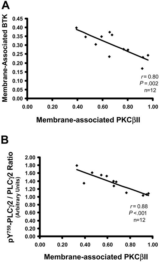 Figure 5. Levels of active PKCβII correlate with membrane-associated Btk and with pY759-phosphorylated PLCγ2. (A) Plot of membrane-associated Btk against membrane-associated (active) PKCβII in CLL cells (n = 12). The percentage membrane association of Btk in CLL cells was determined from membrane and cytosolic subcellular fractions, as described for PKCβII. (B) Plot of pY759-PLCγ2 against membrane-associated (active) PKCβII in CLL cells (n = 12). The degree of pY759-PLCγ2 was determined in Western blot analysis of whole cell lysates, taking the ratio of the densities of the bands recognized by antibodies specific for nonphosphorylated PLCγ2 and for pY759-PLCγ2. Results are reported in arbitrary units.