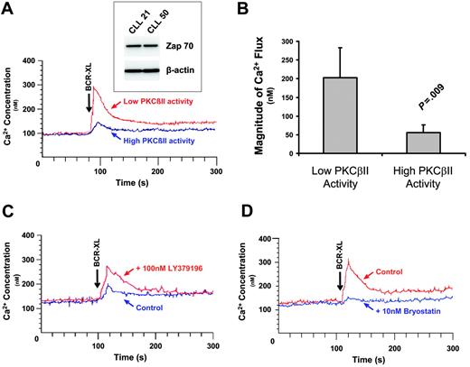 Figure 6. PKCβII activity regulates BCR-induced Ca2+ release in CLL cells. (A) CLL patients with high and low PKCβII activity (defined, respectively, as containing amounts of active PKCβII greater than or less than 1 SD from the mean value) were stimulated with 20 μg/mL anti-IgM antibody (BCR-XL), and intracellular Ca2+ release was measured using the dye Indo-1. Comparison of BCR-induced Ca2+ release in CLL patients with high and low levels of active PKCβII. Western blot analysis of ZAP-70 expression in these patients is shown in the inset. CLL21 is the CLL patient with low PKCβII activity. CLL50 is the CLL patient with high PKCβII activity. (B) Comparison of peak Ca2+ levels (mean ± SD) during BCR stimulation of CLL patients with high (n = 5) and low (n = 5) levels of active PKCβII. (C) One-hour pretreatment with 100 nM LY379196 restores BCR-induced Ca2+ release in CLL patients with high levels of active PKCβII. (D) Thirty-minute pretreatment with 10 nM bryostatin suppresses BCR-induced Ca2+ release in CLL patients with low levels of active PKCβII. (C-D) Representative examples of 3 separate experiments using cells from different patients.