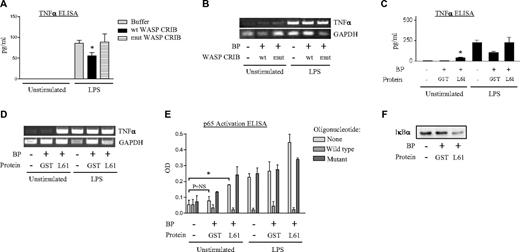 Figure 2. Cdc42 regulates TNFα transcript and protein. (A-B) PMNs were left untreated or transduced with wild-type WASP-CRIB or mutant non–Cdc42-binding WASP-CRIB (10 μg/mL, 25°C, 2 hours) using BioPORTER (BP). Cells were then left untreated or exposed to LPS (2 hours). Supernatants were analyzed by ELISA for TNFα protein (A) and lysates by RT-PCR for TNFα and GAPDH transcripts (B) (*P < .05 compared with buffer/LPS). The results shown are representative of 4 experiments. (C-D) PMNs were left untreated or transduced with GST or L61Cdc42 (10 μg/mL, 25°C, 2 hours) using BP. Cells were then left untreated or exposed to LPS (2 hours). Supernatants were tested by ELISA for TNFα protein (C) and lysates by RT-PCR for TNFα and GAPDH (D). (*P < .001 compared with untreated and GST treated). The gel shown is representative of 3 experiments. (E) PMNs were untreated or transduced with GST or L61Cdc42 (4 hours) and then exposed to buffer or LPS (25 minutes). Cell sonicates were assayed by ELISA for p65 activation (*P < .05) in the presence or absence of competitor (wt) and noncompetitor (mutant) oligonucleotides, and (F) cytoplasmic fractions were immunoblotted for IκBα. A representative immunoblot is shown. PCR gels are representative of 3 independent experiments. (A, C, E) Error bars represent SE.