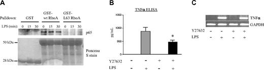 Figure 4. Regulatory roles of RhoA and ROCK. (A) PMNs were exposed to the indicated time course of LPS. Lysates were then precleared with 15 μg GST-Sepharose (1 hour) and incubated (2 hours) with 15 μg indicated Sepharose conjugates of GST fusion protein. Precipitates were then eluted, electrophoresed on a 10% SDS-PAGE gel, transferred to nitrocellulose, and immunoblotted with anti-p65. Nitrocellulose membranes were stained with Ponceau S to confirm protein loading. Blots are representative of 3 independent experiments. (B-C) PMNs were either left untreated or pretreated with Y27632 (10 μM, 60 minutes) and then exposed to buffer or to LPS (2 hours). Supernatants were tested by ELISA for TNFα protein (B) and lysates by RT-PCR for TNFα and GAPDH (C)(*P < .05 compared with LPS alone). The gel shown is representative of 3 separate experiments. (B) Error bars represent SE.