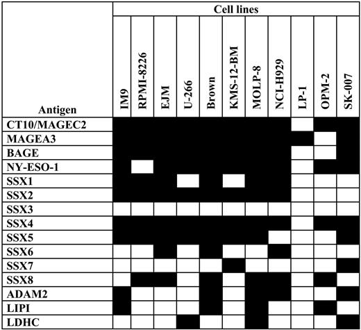 Figure 1. Expression of CT antigens in myeloma cell lines. Myeloma cell lines (N = 11) were tested for the expression of a variety of CT antigens (N = 15) using RT-PCR. Black fields indicate expression of the given CT antigen in the myeloma cell line; empty fields indicate negative RT-PCR results.