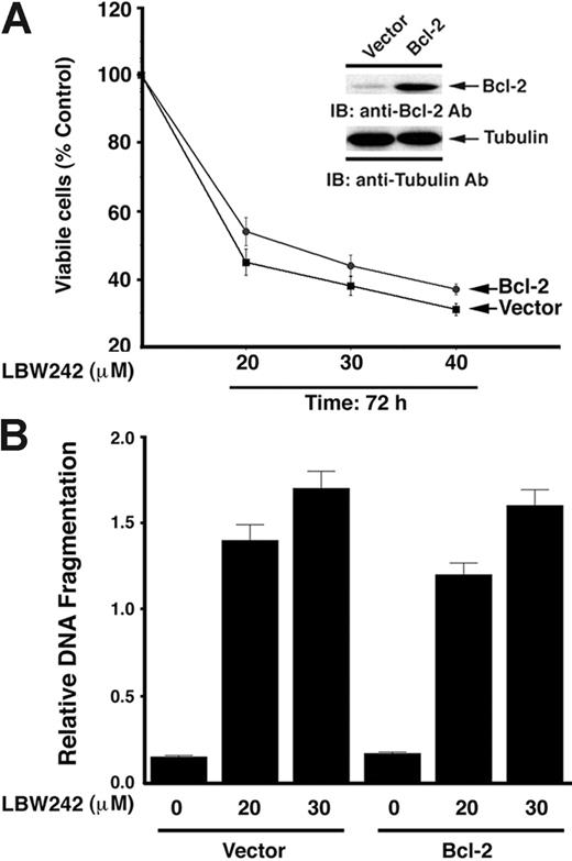 Figure 4. LBW242 decreases survival in Bcl-2–overexpressing MM.1S cells. (A) Empty vector– or Bcl-2–transfected MM.1S cells were treated for 72 hours with LBW242 at the indicated concentrations and then analyzed for viability. Results are means ± SD of 2 independent experiments. Inset shows Western blot of Bcl-2 protein levels. (B) Vector- or Bcl-2–transfected MM.1S cells were treated for 48 hours with LBW242 at the indicated concentrations, and analyzed for apoptosis by DNA fragmentation assays (mean ± SD; n = 2). The percentage of specific cell death was calculated by subtracting the percentage of spontaneous apoptosis of the relevant controls from the total percentage of cell death.