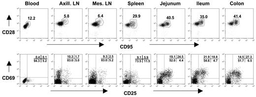 Figure 1. Flow cytometry dot plots demonstrate coexpression of CD95 and CD28 (top) and CD25 and CD69 expression (bottom) on CD4+ T cells from a representative neonate (GB14, 7 days old). Like adults (data not shown), neonates have large numbers of memory (CD95+) and activated (CD25+CD69+) CD4+ T lymphocytes in the intestinal tract (jejunum, ileum, colon) compared with peripheral lymphoid tissues (spleen, lymph nodes, and blood). Central memory cells are defined by CD95 and CD28 coexpression (top, polygonal gates). Note that there are no effector memory cells (CD95+, CD28−) evident in any tissues. Plots were generated by gating on CD4+ lymphocytes.