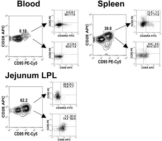 Figure 2. Polychromatic (8 color) flow cytometry demonstrating that central memory (CD95+CD28+) CD4+ T cells from different tissues have different expression patterns of activation markers (CD25, CD69) as well as CCR5 and CD45RA. Plots were gated through lymphocytes and then through CD3+CD4+ T cells from tissues from an uninfected neonate (GA98, 14 days). Note that central memory (CD95+CD28+) CD4+ T cells from the intestine have much higher CD69 and CCR5 expression than those from the spleen or blood.