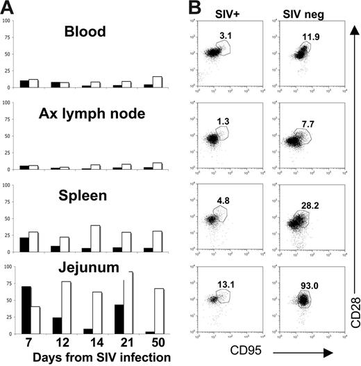 Figure 4. Changes in central memory CD4+ T cells in neonatal tissues on SIV infection. Bar charts (A) indicate percentages of central memory (CD95+CD28+) CD4+ T cells in SIV-infected (solid bars) to age-matched control neonatal macaques (open bars) over time. Note that a selective loss of central memory CD4+ T cells occurs in the jejunum of SIV-infected neonates by 12 days of infection compared with age-matched controls. Bars represent the percentage of CD95+CD28+ cells after gating through CD4+ T lymphocytes as demonstrated in panel B. (B) Dot plots of CD4+ T cells from tissues of a representative SIV-infected neonate (DP53, left column) to an age-matched uninfected neonate (DP44, right column), demonstrating selective loss of CD95+CD28+ CD4+ T cells in all tissues. Plots were generated by gating through lymphocytes and then CD4+ T cells.