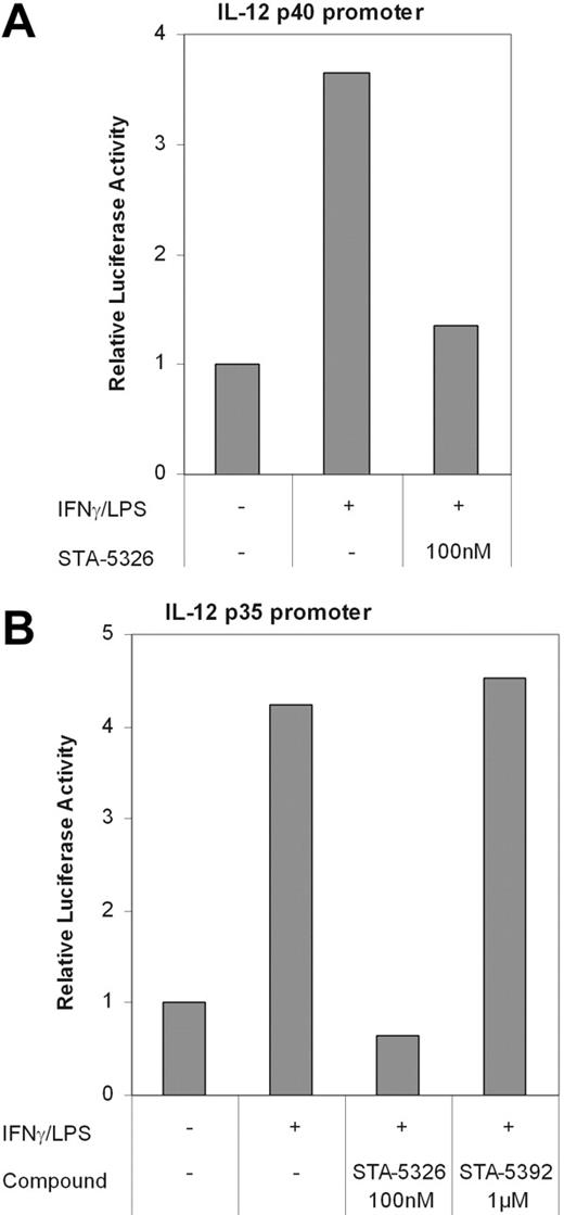Figure 2. IL-12 promoter-driven luciferase assay. Human IL-12 p40 (A) and p35 (B) promoter/luciferase reporter constructs were generated by ligating the human p40 (−1.3 kb/+56 bp) promoter and p35 (−1.5 kb/+3 bp) promoter fragments upstream of the luciferase gene in pGL3-Basic vector. RAW267.4 cells were transiently transfected and then stimulated with murine recombinant IFN-γ followed by LPS in the presence or absence of 100 nM STA-5326 or 1 μM STA-5392, a structurally related inactive compound in duplicate. Cells were cotransfected with pCMVβ, a vector in which the constitutively active CMV promoter drives expression of β-galactosidase, for the monitoring of transfection efficiency. The relative luciferase activity is the mean ratio of luciferase activity in the treated group relative to luciferase activity in the nontreated group after normalization with the β-galactosidase value.