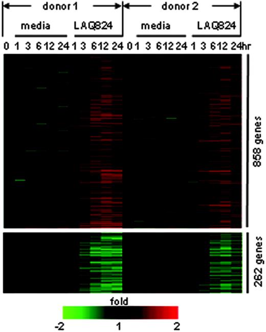 Figure 1. LAQ824 modulates gene expression in resting human monocyte-derived macrophages from 2 donors. Each gene is represented by a single row of color bars, and each time point is represented by a single column. Color bars represent the ratio of hybridization signals between corresponding time points in media control or LAQ824 condition and time 0 in each donor, according to the scale shown.