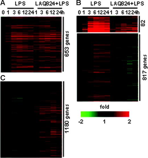 Figure 2. LAQ824 alters LPS-induced gene expression profiles in human monocyte-derived macrophages. (A) Genes induced at the same level in response to LPS alone or LPS with LAQ824 simultaneously. (B) Genes with decreased expression in the presence of LAQ824. (C) Genes with induced expression in the presence of LAQ824.